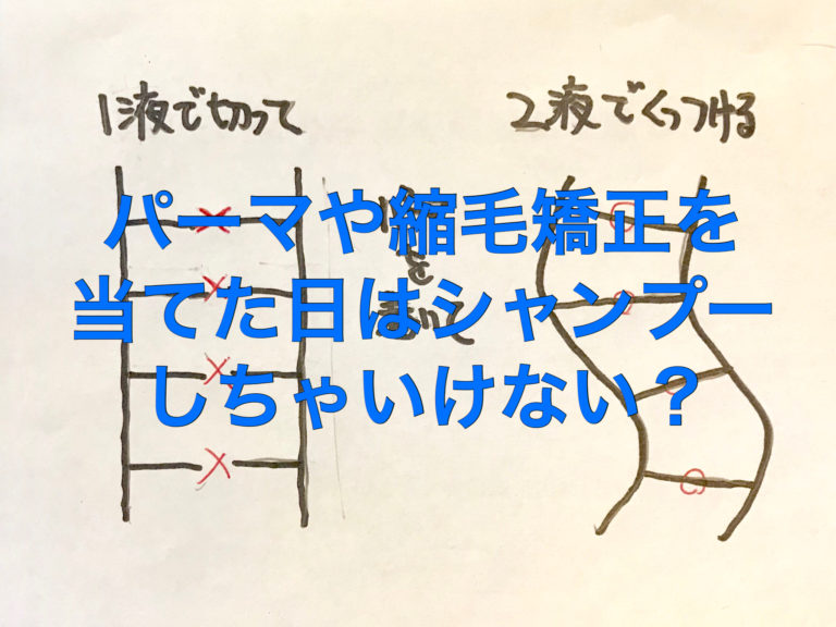 パーマや縮毛矯正を当てた日はシャンプーしちゃいけない？ セカンドオピニオン美容師